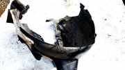 Radhausschale - Vorne Linke Opel Astra, L 2021 - 2027 Gebraucht,