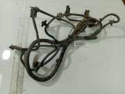 Kabelbaum Opel Signum, 2003.05 - 2008.06 Gebraucht,