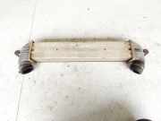 Ladeluftkühler Fiat Doblo, 2005.10 - 2009.08 46849068,