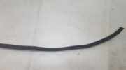 Zierleiste Tür Zier-Schutzleiste - Vorne Linke Fiat Bravo, 1995.10 - 2001.10 b35134996,
