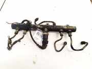 Kraftstoffverteiler Citroen Jumper, I 2002.04 - 2006.06 facelift 0445224009,