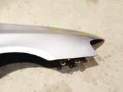 Kotfl?gel - Vorne Rechts Fiat Stilo, 2001.10 - 2007.01 Sidabrine,