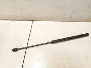 Gasdruckfeder Kofferraum Opel Vectra, C 2002.04 - 2005.10 91802555133,
