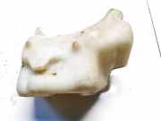 Scheibenwaschbehälter Vorne Wischwasserbehälter Opel Astra, F 1991.09 - 1998.09 0023935, N0023935