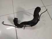 Schlauch für Luftversorgung Volkswagen Bora, 1998.01 - 2005.12 Gebraucht , ALH