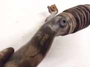 Schlauch für Luftversorgung Honda FR-V, 2004.08 - 2009.12 atp20,