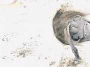 Waschwasserpumpe Scheibenreinigung Ford Galaxy, Mk I 1995.03 - 2000.04 Gebraucht,