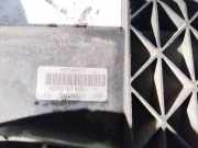 Kühlerlüfter Lüftermotor Renault Grand Scenic, I 2003.01 - 2009.12 8200151465,