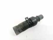 K?hlerschlauch Lancia Phedra 2002 - 2006 80036525,