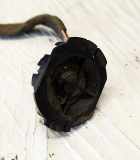 Lautsprecher Renault Clio, 2005.05 - 2009.06 8200304435,8200304435 8200407914 9127801 M9141601