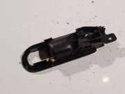 T?rinnengriff - Vorne Linke Volkswagen Bora, 1998.01 - 2005.12 3B1837113L,3B1 837 113 L AXR