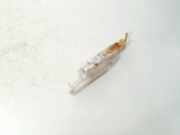 Innenraumleuchte Audi A4, B5 1999.09 - 2001.08 facelift 4b0947416,