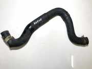 Kühlerschlauch Toyota Prius, 2003.06 - 2009.01 Gebraucht,