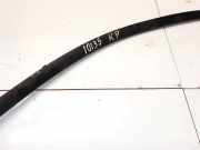 Schutzleiste Tür - Vorne Linke Citroen C8, I 2002.07 - 2008.06 1487413077,