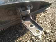 Türscharnier Vorne Citroen C-Crosser, I 2007.01 - 2012.12 Gebraucht,