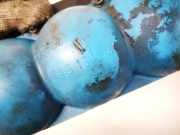 Druckspeicher Audi A6, C5 1997.01 - 2001.08 443131541,