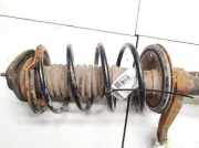Fahrwerksfeder vorne Citroen Saxo, I 1999.11 - 2004.04 facelift Gebraucht,