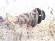 Stoßdämpfer - Vorne Linke Renault Laguna, II 2001.03 - 2006.05 Gebraucht,