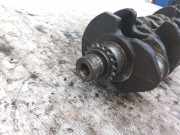 Kurbelwelle Seat Alhambra, 2000.06 - 2010.03 facelift 038105189b,