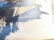 Radhausschale - Hinten Linke Volkswagen Golf, IV 1997.08 - 2003.10 1j0810971d, ALH