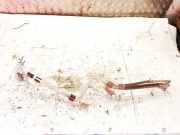 Druckschalter Klimaanlage Renault Zoe I 2012 - 2020.06 295x48904r,