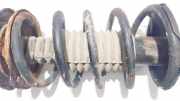 Fahrwerksfeder vorne Daihatsu Terios 1997 - 2005 Gebraucht,