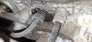 Einspritzdüse Nissan Almera Tino 2000.08 - 2003.09 Gebraucht,