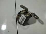 Türscharnier Vorne Renault Megane, II 2002.11 - 2006.06 029139F,029139 F