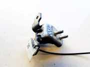 Türscharnier Vorne Renault Vel Satis, 2002.06 - 2009.12 Gebraucht,