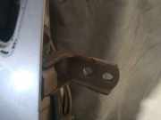 T?rscharnier Vorne Lexus RX, 2000.07 - 2003.05 Gebraucht,