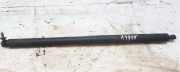 Gasdruckfeder Kofferraum Opel Insignia A, 2008.01 - 2013.01 Gebraucht,
