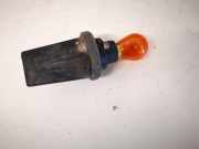 Gl?hbirnenfassung Blinker Renault Scenic, II 2003.06 - 2006.06 Gebraucht,