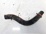 Entl?ftungsschlauch Kraftstoffbeh?lter Hyundai Trajet, 2000.03 - 2008.07 Gebraucht,