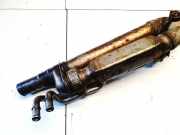 Schalldämpfer Citroen C4 Picasso, I 2006.01 - 2013.06 Gebraucht,