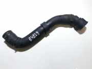 Kühlerschlauch Audi A3, 8L 1996.09 - 2000.10 8l0122101b,