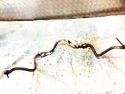 Stabilisator Vorne Toyota Avensis Verso, 2001.08 - 2009.11 Gebraucht,