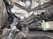 Thermostat Renault Clio, 2012.11 - 2016 Gebraucht,