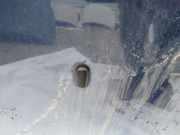 Waschwasserdüse Scheibenreinigung Ford Focus, 2004.11 - 2008.06 Gebraucht,