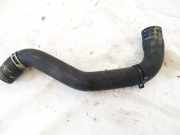 Kühlerschlauch Peugeot 807, 2002.06 - 2012.05 x632149,