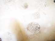 Scheibenwaschbehälter Vorne Wischwasserbehälter Fiat Idea 2003 - 2012 b805,