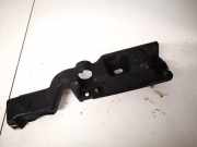 Sto?stangenhalter - Vorne Linke Renault Grand Scenic, II 2009.02 - 2013.06 631236764r,