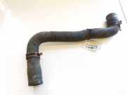 Kühlerschlauch Renault Scenic, II 2003.06 - 2006.06 8200320158,