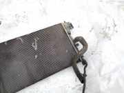 Wasserkühler Opel Vectra, C 2002.04 - 2005.10 24418345,