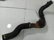 Intercooler Schlauch Mitsubishi Grandis, I 2004.01 - 2009.12 Gebraucht,