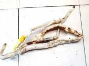 Kopfairbag - Vorne Rechts BMW 5-Series, E60 E61 2003.07 - 2010.03 85913016401,