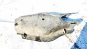Anschlagpuffer Federung Mercedes-Benz W204, 2007.01 - 2011 A2043521588,