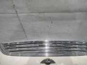 Kühlergrill Frontgrill Kühlergitter MINI Mini 2000.1 - 2006.12 Gebraucht,
