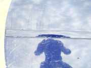 Zierleiste Tür Zier-Schutzleiste - Vorne Linke Opel Signum, 2003.05 - 2008.06 Gebraucht,