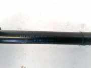 Gasdruckfeder Kofferraum Audi A1, 2010.05 --> 8X082335903S,