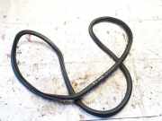 Türdichtung - Hinten Rechts Volkswagen ID.4, 2020 --> 11a867914b, EBJA